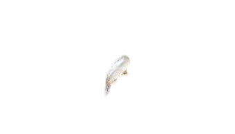 Auxiliaire thrips